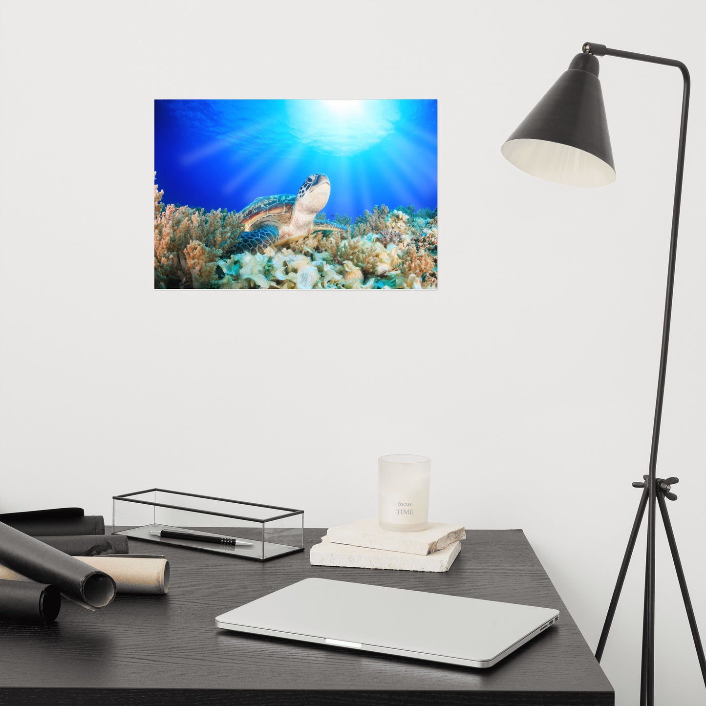 Green Sea Turtle In Tropical Coral Reef and Sunbeams Animal Wildlife Photograph Loose Wall Art Print