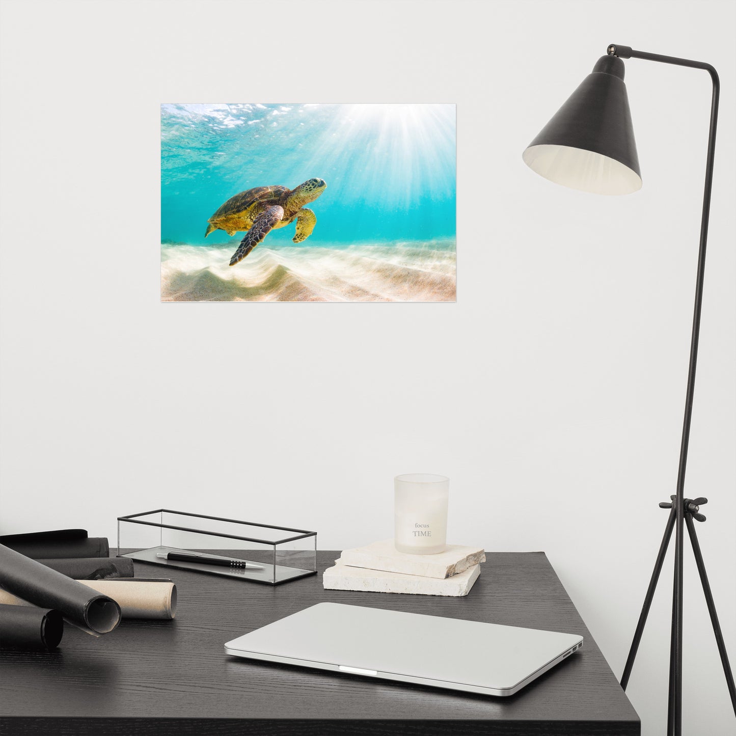 Hawaiian Green Sea Turtle In Turquoise Blue Sea and Sandbars Animal Wildlife Photograph Loose Wall Art Print