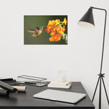 Hummingbird with Little Yellow-Orange Flowers Loose Wall Art Print