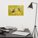 Hummingbirds with Little Pink Flowers Loose Wall Art Print