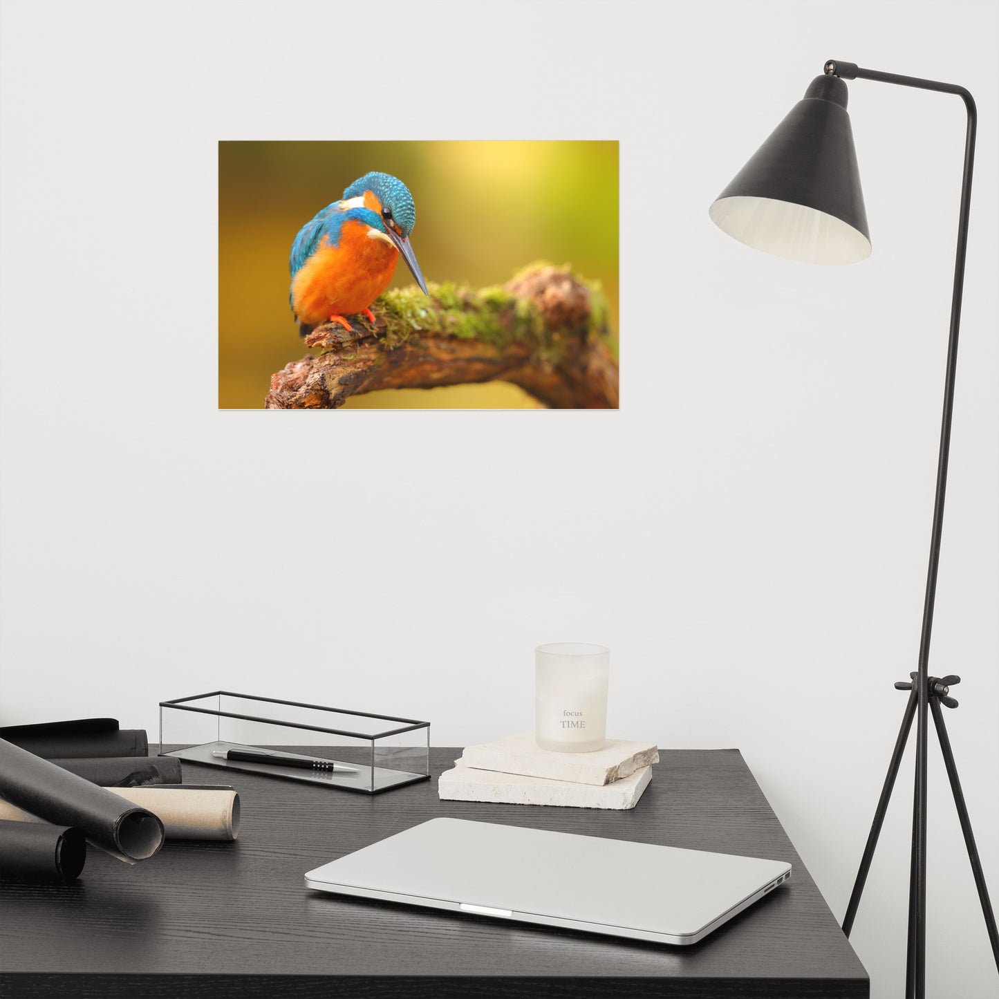 Kingfisher Bird on Perch 2 Loose Wall Art Print