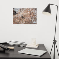 Lizard Rock Loose Wall Art Print