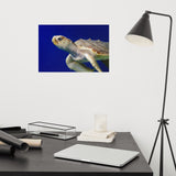 Sea Turtle 2 Loose Wall Art Print