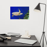 Sea Turtle 1 Loose Wall Art Print