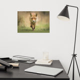 Young Female Red Fox In Forest Animal Wildlife Nature Photograph Loose Wall Art Print