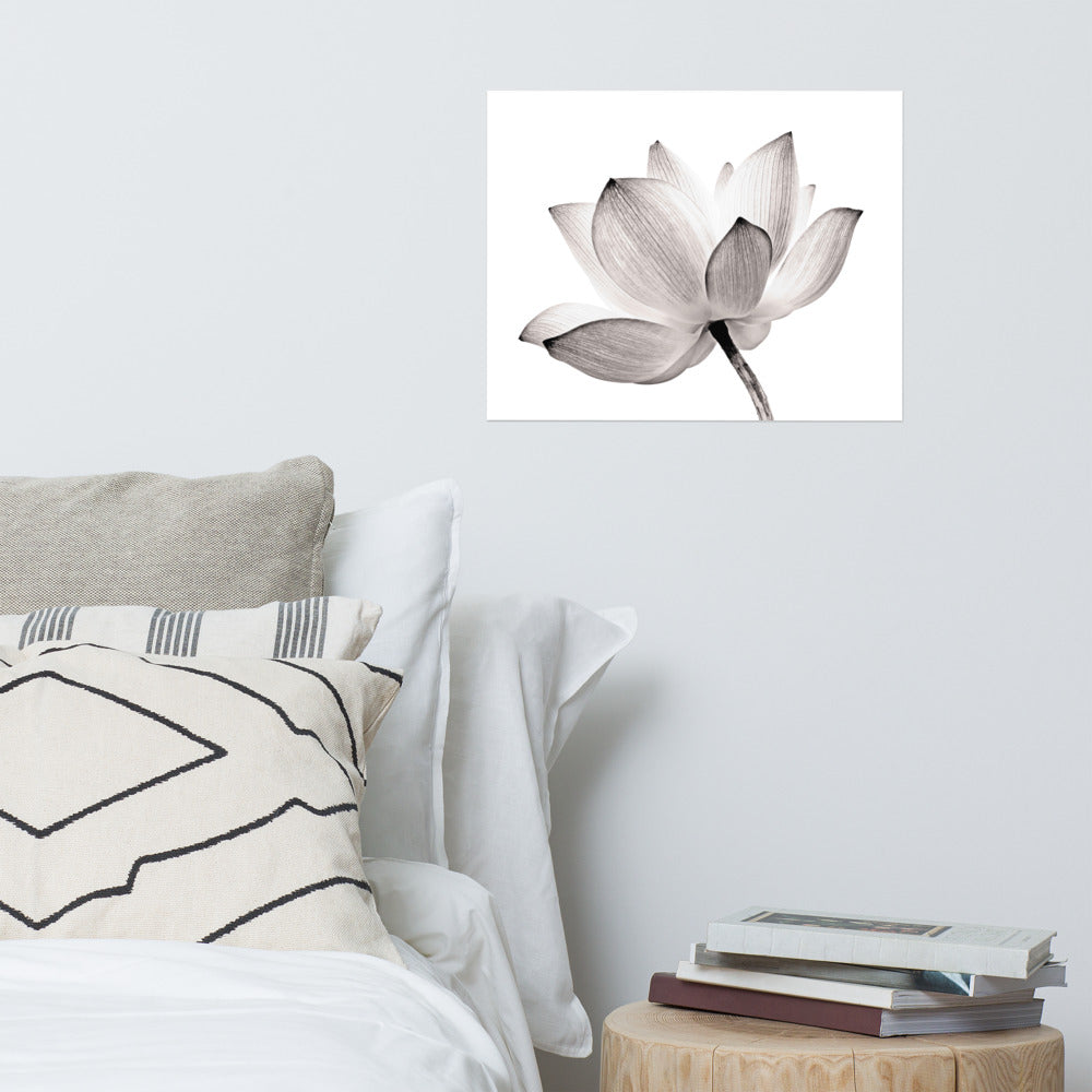 Lotus Flower Tinted Effect Floral Nature Photo Loose Flower Wall Art Print