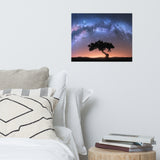 Milky Way Arch and Tree Night Galaxy Landscape Photo Loose Wall Art Prints