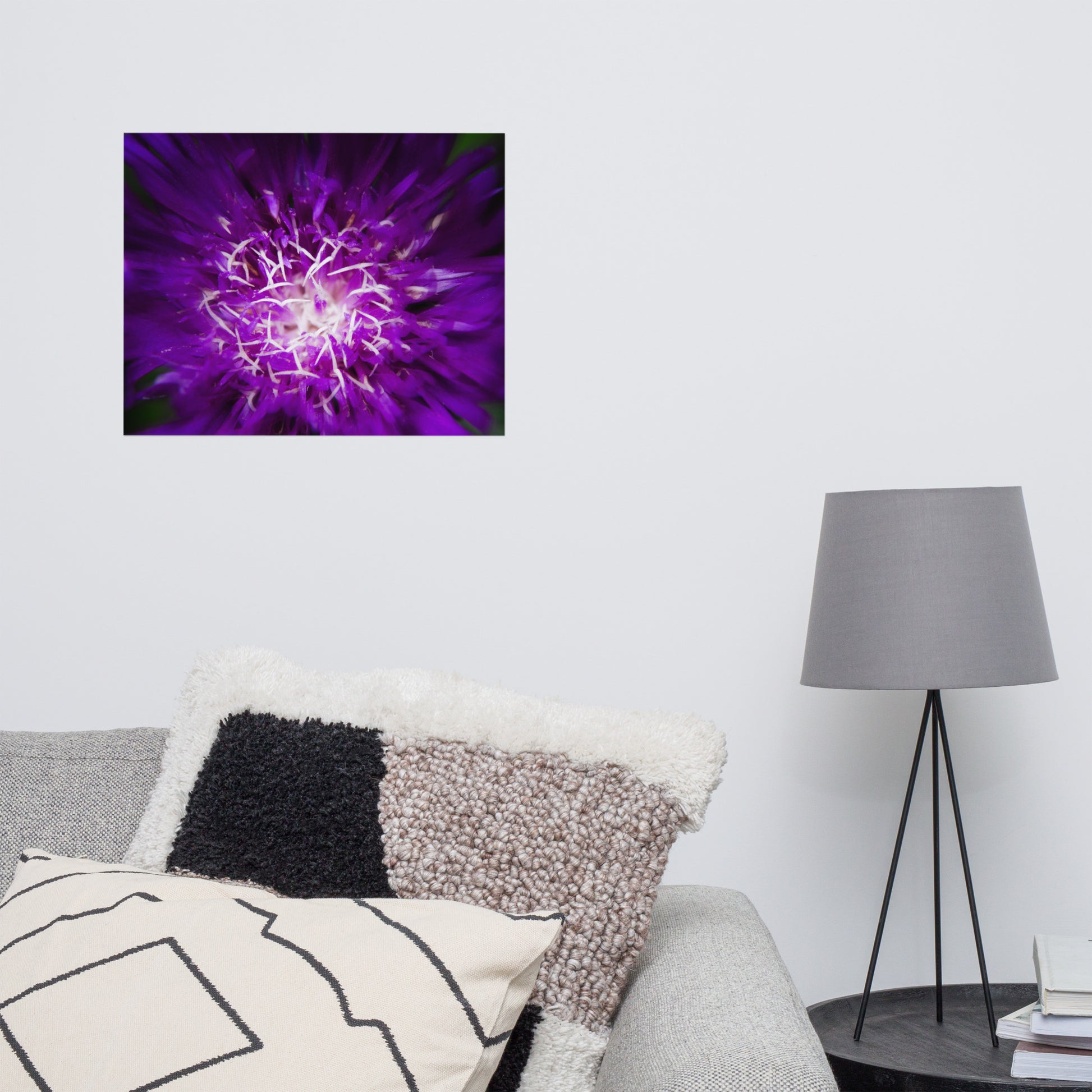 Nature Pictures For Living Room Wall: Dark Purple and White Aster Bloom Close-up - Botanical / Floral / Flora / Flowers / Nature Photograph Loose / Unframed / Frameless / Frameable Wall Art Print - Artwork