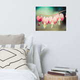 Be Still My Bleeding Heart Colorized Floral Nature Photo Loose Unframed Wall Art Prints