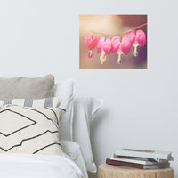 Be Still My Bleeding Heart Warm Summer Glow Floral Nature Photo Loose Unframed Wall Art Prints