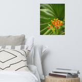 Bloodflowers and Palm Color Floral Nature Photo Loose Unframed Wall Art Prints