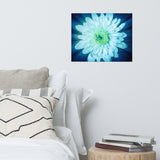 Brilliant Flower Floral Nature Photo Loose Unframed Wall Art Prints