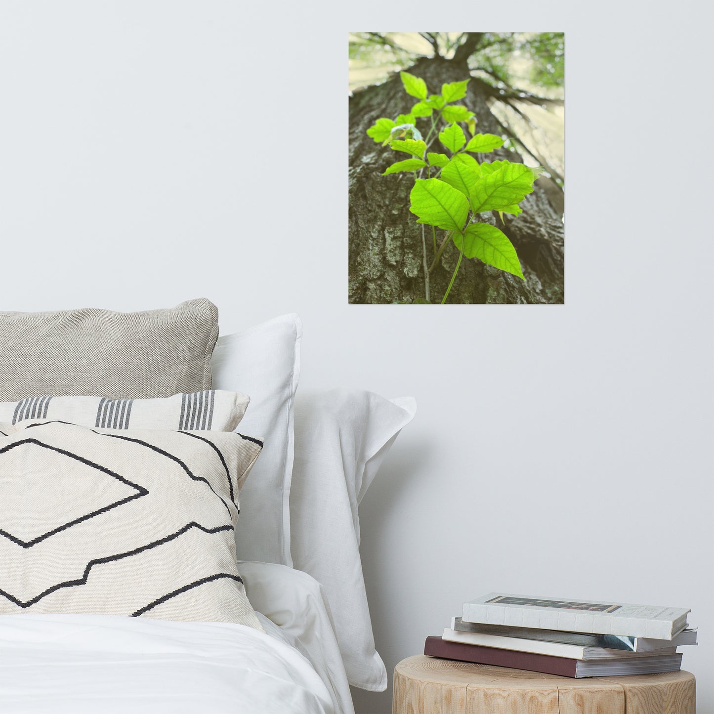 Climbing The Tree Rustic Botanical Nature Photo Loose Unframed Wall Art Prints