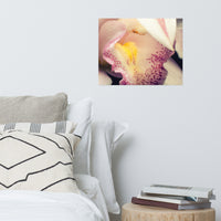 Close-up of Orchid Floral Nature Photo Loose Unframed Wall Art Prints