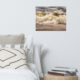 Crashing Ashore Coastal Nature Photo Loose Unframed Wall Art Prints