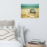 Daydreams on the Shore Coastal Nature Photo Loose Unframed Wall Art Prints