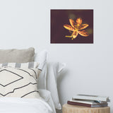 Dramatic Orange Leopard Lily Flower Nature Photo Loose Unframed Wall Art Prints