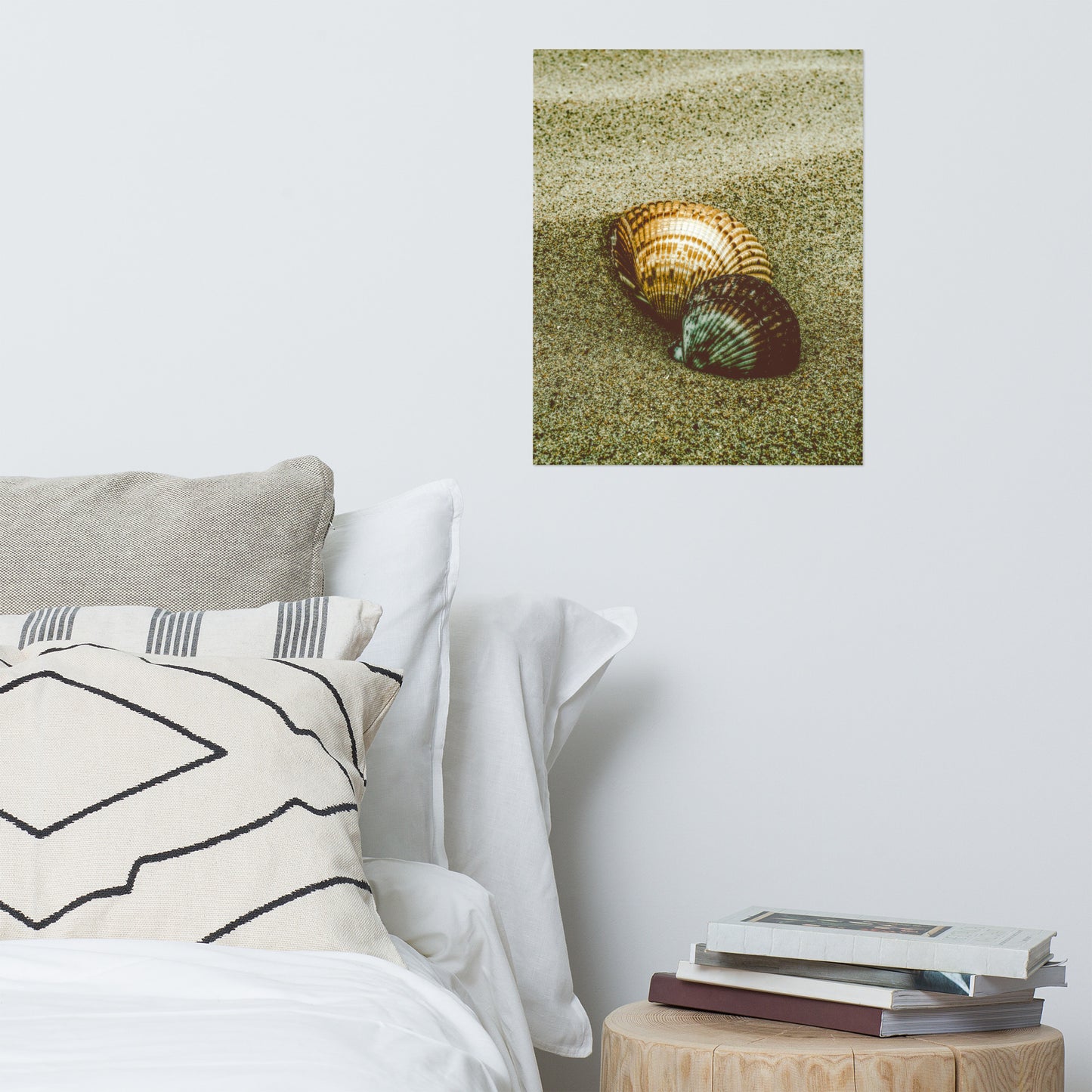 Dreamy Beach Seashells Coastal Nature Photo Loose Unframed Wall Art Prints