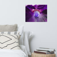 Eye of Iris Floral Nature Photo Loose Unframed Wall Art Prints