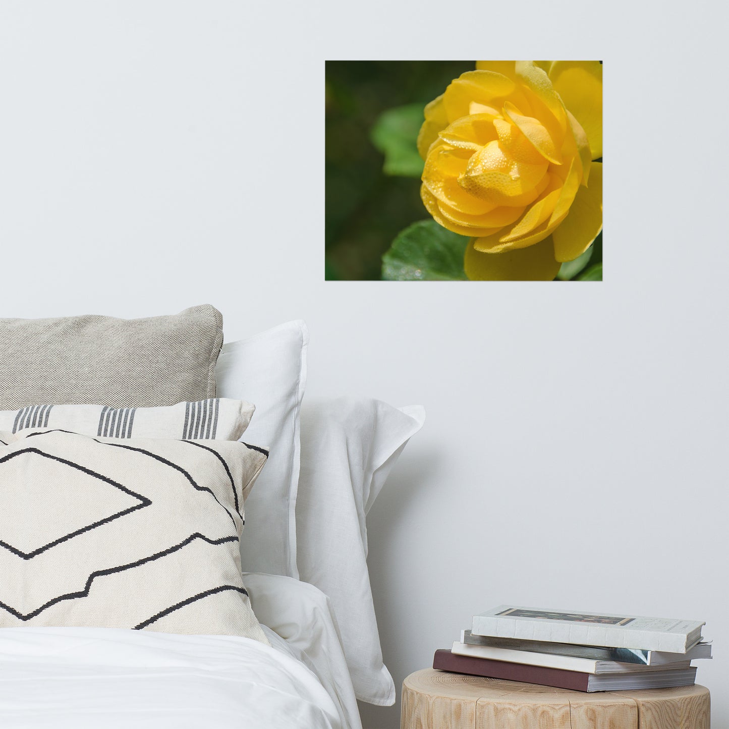 Friendship Rose Floral Nature Photo Loose Unframed Wall Art Prints
