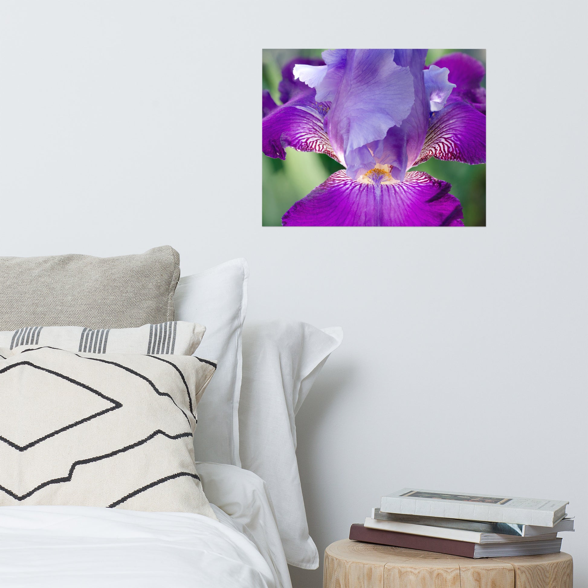 Large Posters For Bedroom: Glowing Iris - Botanical / Floral / Flora / Flowers / Nature Photograph - Loose / Frameable / Unframed / Frameless Wall Art Print - Artwork