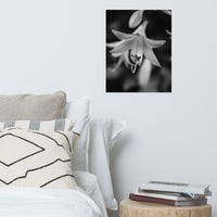Hosta Bloom Black and White Floral Nature Photo Loose Unframed Wall Art Prints