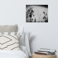 Iris on Wall Black and White Floral Nature Photo Loose Unframed Wall Art Prints