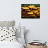 Mushroom Family Botanical Nature Photo Loose Unframed Wall Art Prints