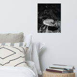 Mushroom on Log Black and White Botanical Nature Photo Loose Unframed Wall Art Prints