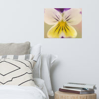 Oh Violet Floral Nature Photo Loose Unframed Wall Art Prints