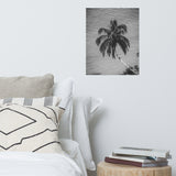 Palm Over Water Black and White Botanical Nature Photo Loose Unframed Wall Art Prints