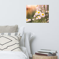 Philadelphia Fleabane Cluster Softened Floral Nature Photo Loose Unframed Wall Art Prints