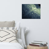 Rain Dropping on Canna Leaf Botanical Nature Photo Loose Unframed Wall Art Prints