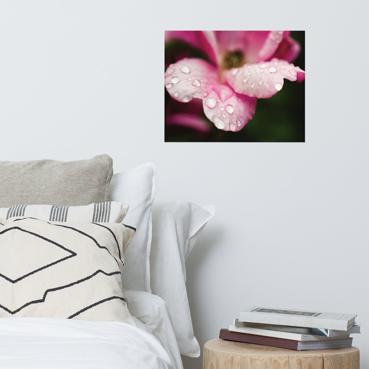 Raindrops on Wild Rose Floral Nature Photo Loose Unframed Wall Art Prints