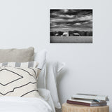Barn in Field Black and White Landscape Photo Loose Wall Art Prints
