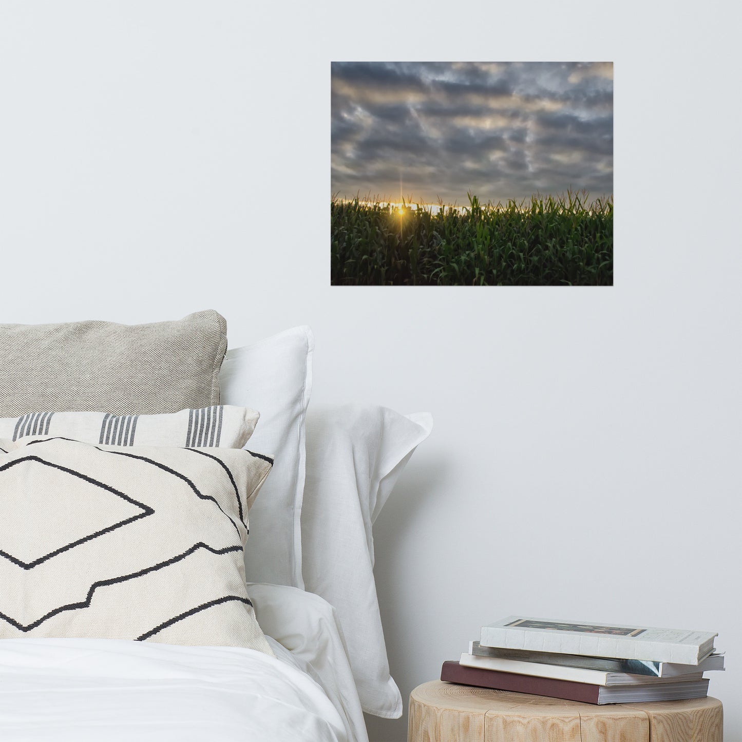 Rows of Corn and Sunset Landscape Photo Loose Wall Art Prints