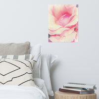 Softened Rose Floral Nature Photo Loose Unframed Wall Art Prints