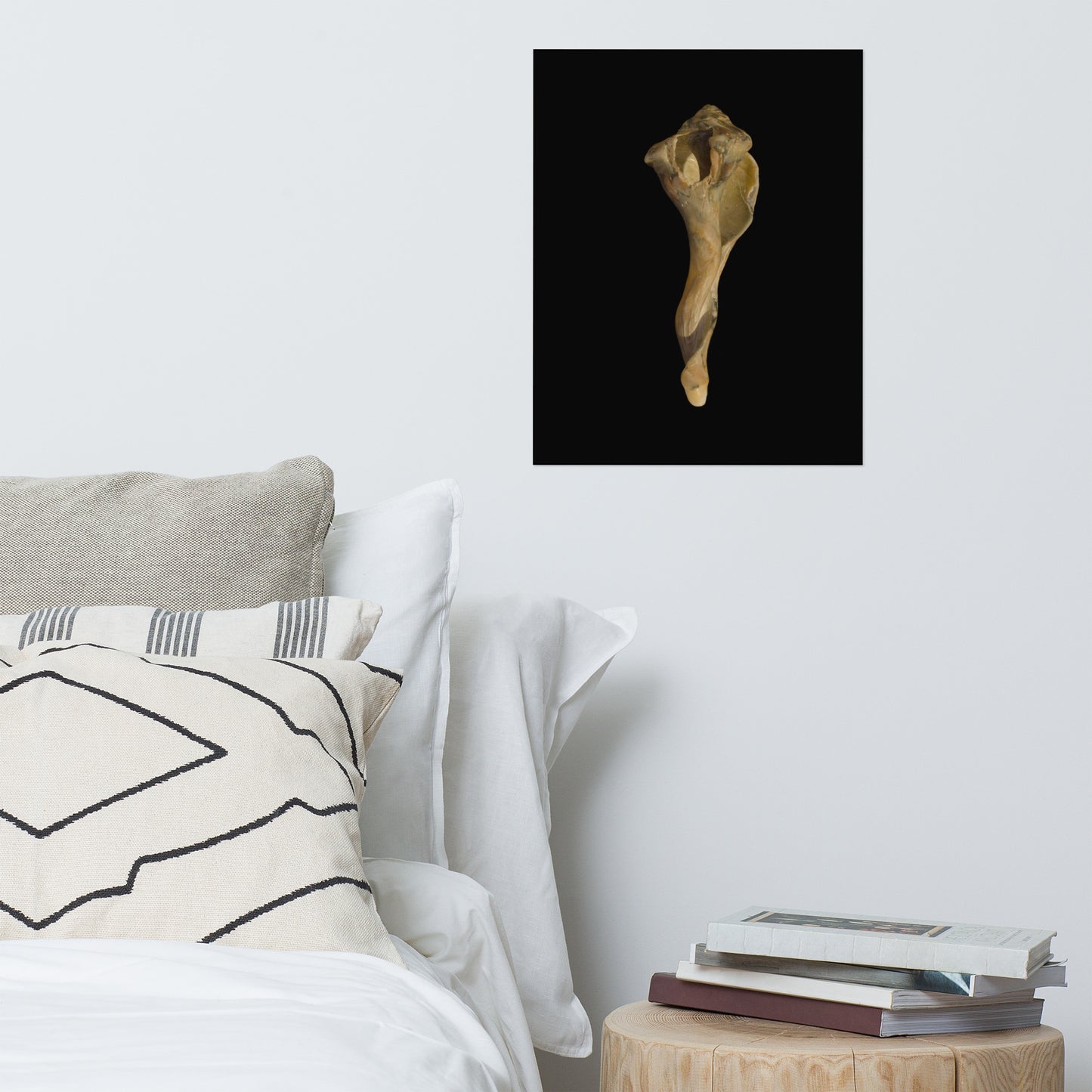 States of Erosion Image 3 Whelk Shell Coastal Nature Photo Loose Unframed Wall Art Prints