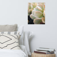 Succulent 4 Botanical Nature Photo Loose Unframed Wall Art Prints