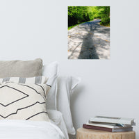 Summer Shadows Botanical Nature Photo Loose Unframed Wall Art Prints