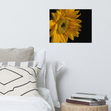 Sunflower from Left Floral Nature Photo Loose Unframed Wall Art Prints
