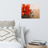 Tranquil Lily Floral Nature Photo Loose Unframed Wall Art Prints