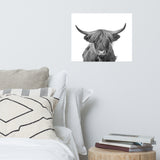 Highland Cow Black and White Wildlife / Animal Photograph Loose Wall Art Prints