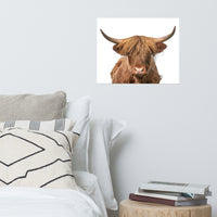Golden Highland Cow Wildlife / Animal Photograph Loose Wall Art Prints