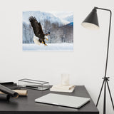 Adult Bald Eagle and Alaskan Winter Landscape Animal Wildlife Photograph Loose Wall Art Print