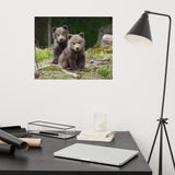 Baby Brown Bear Cubs In Forest Wildlife Photo Loose Wall Art Print