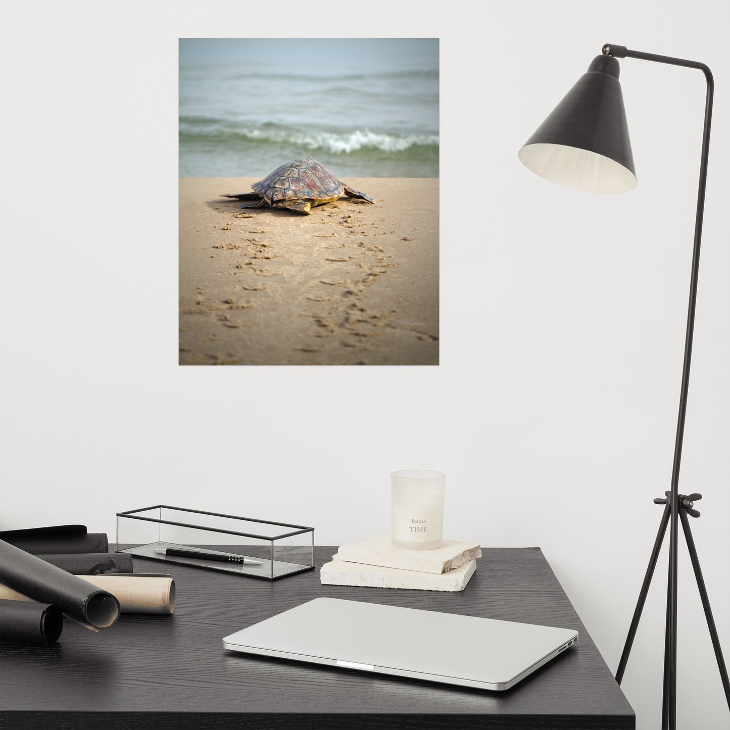 Traditional Photography: Sea Turtle Hatchling On The Shore Animal / Wildlife / Coastal / Nature Photograph Unframed / Loose / Frameless / Frameable Wall Art Prints - Artwork