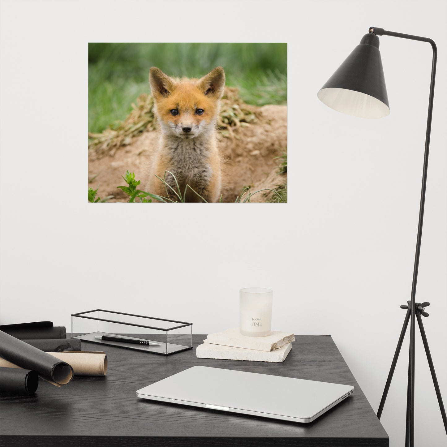 Bathroom Wall Hanging Decor: Young Red Fox Kit - Animal / Wildlife / Nature Photograph Loose / Unframed / Frameless / Frameable Wall Art Print / Artwork