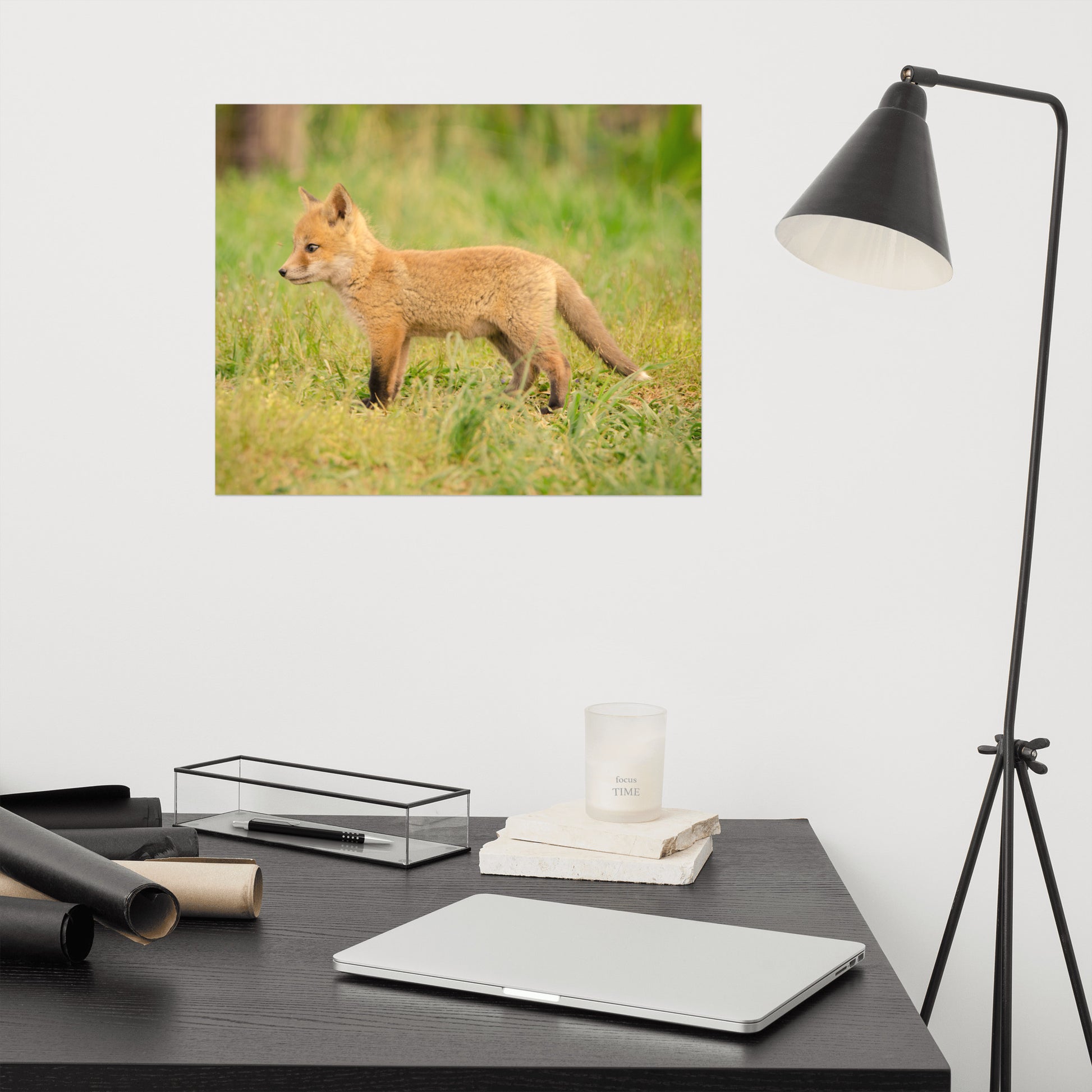 Hanging Wall Decor Nursery: Fox Pup In Meadow - Animal / Wildlife / Nature Photograph Loose / Unframed / Frameless / Frameable Wall Art Print / Artwork