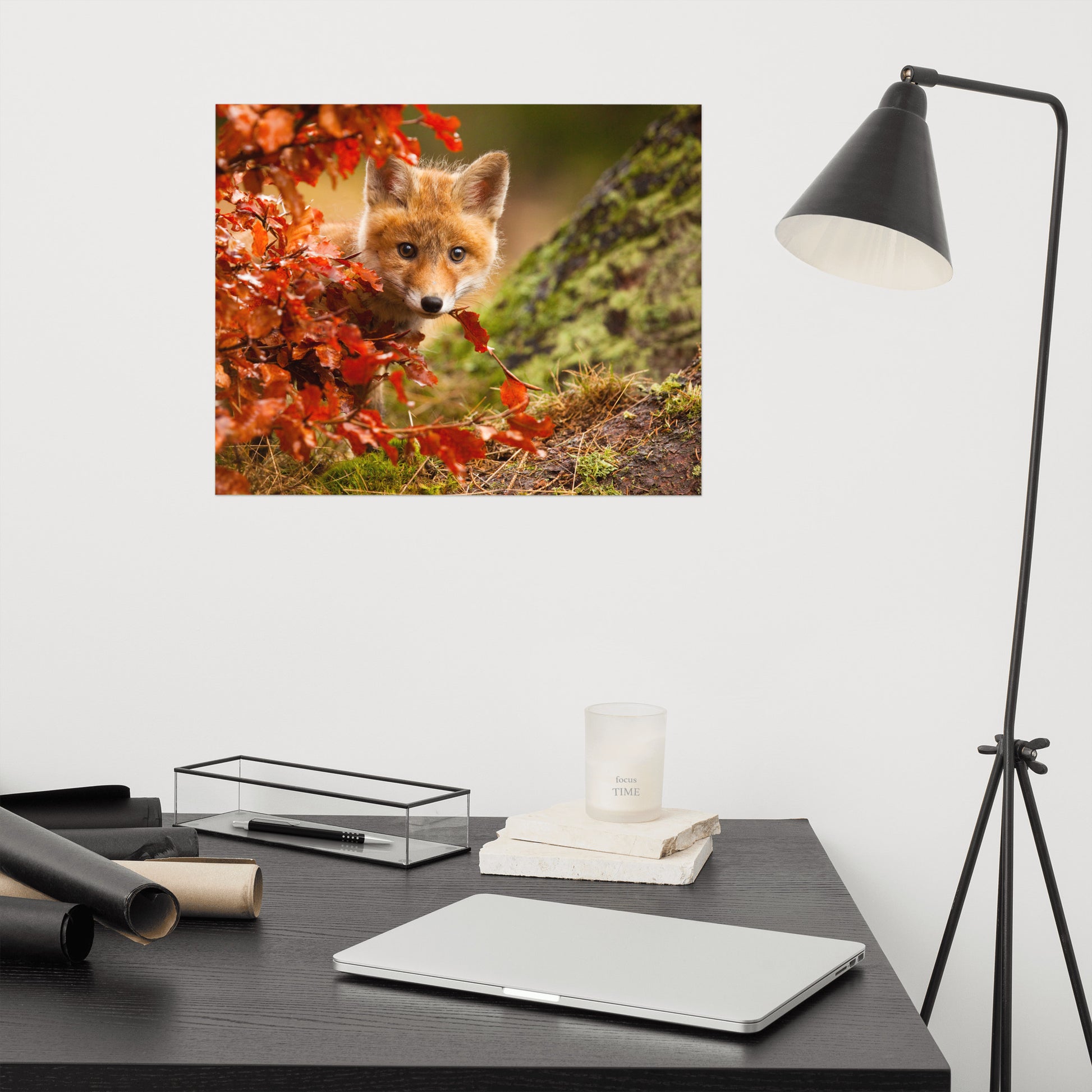 Woodland Nursery Prints: Peek-A-Boo Baby Fox Pup And Fall Leaves - Animal / Wildlife / Nature Photograph / Loose / Frameable / Frameless / Unframed Wall Art Print Artwork - Wall Decor